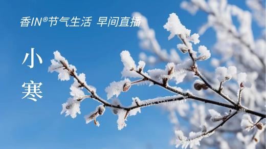 节气生活 小寒早直播 商品图0