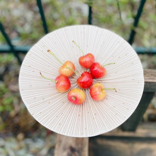 斯卡拉雷黑天鹅🦢SWAN黄金车厘子🍒 黄车里的天花板😍每一颗都是脆甜爆汁，追求品质追求口感的亲们，一定不要错过这款好吃的金车~ 商品图5