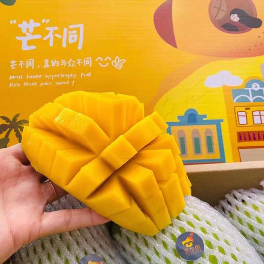 【海南金煌芒 】2025 当季现摘 皮薄肉厚 水嫩多汁 核薄纤维少 味道香甜！ 商品图5