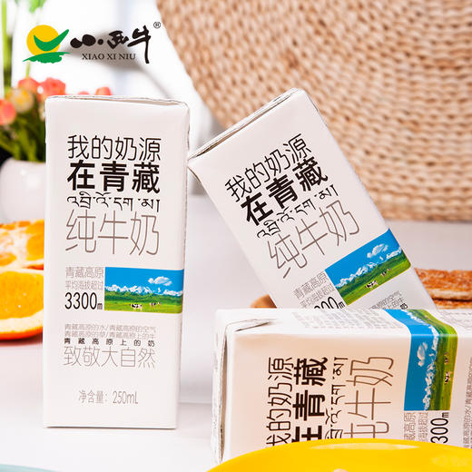 【光明&小西牛】青海小西牛高原纯牛奶 超值量贩盒装纯牛奶250mlx20盒 商品图1
