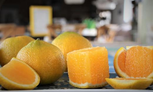 农友直发｜生态桔柚·耕牛田园生态农场，排队发货中，下单后请耐心等待！ 商品图0