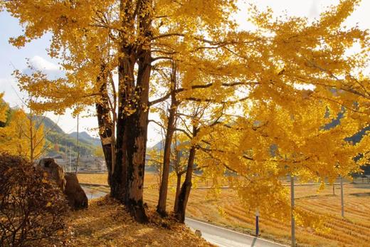 杭州慢姑娘天目岭别墅轰趴 商品图12