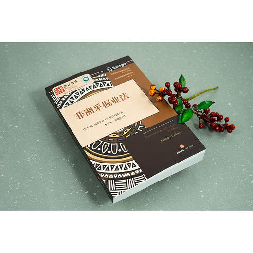 非洲采掘业法  （尼日利）达米罗拉·S·奥拉乌依著 李雪冬 刘明萍译  法律出版社 商品图2