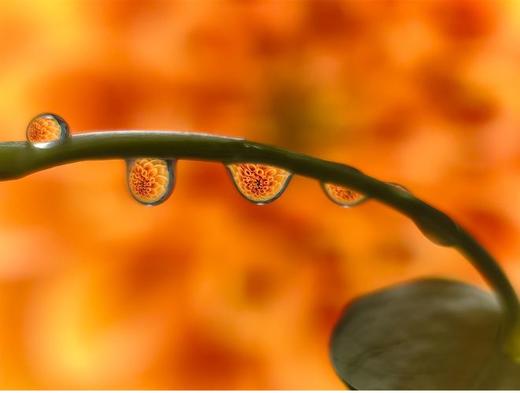 新款 卡色大师级百微PRO镜头 手机微距镜头 商品图8