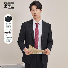 圣得西男士西服套装中青年职业上班通勤商务西装男2412928009A