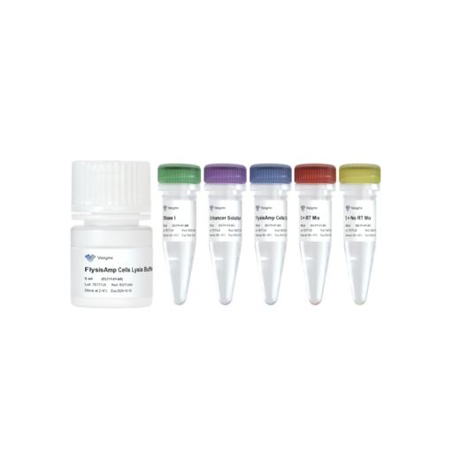 FlysisAmp Cells-to-cDNA Kit 商品图0