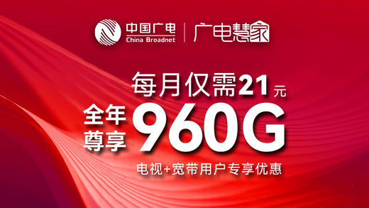流量王0.7元/天，全年尊享960G【广电5G轻松购】直播间专享 商品图0
