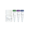 FlysisAmp Cells Lysis Kit 商品缩略图0