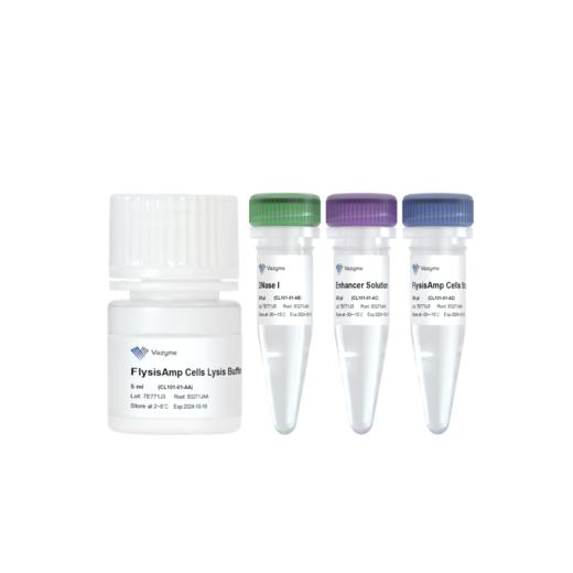 FlysisAmp Cells Lysis Kit 商品图0