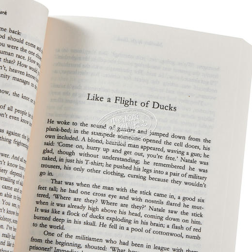 【中商原版】卡尔维诺 黑暗中的数字 英文原版 Numbers in the Dark Italo Calvino 现当代文学作品 经典文学系列 商品图2