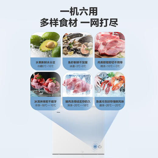 海尔低霜小冰柜100/200/300升家用商用冷藏柜冷冻柜两用冰柜小型租房 200升BC/BD-200GHT 商品图1