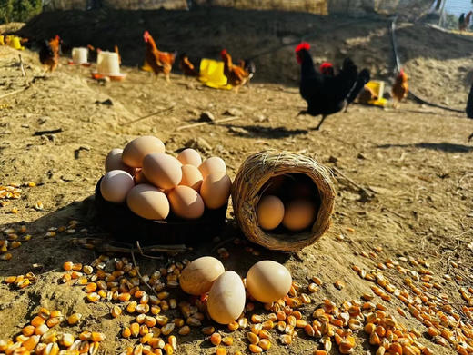 #请单独拍#鸡鸡复鸡鸡，富阳高山土鸡，香飘十里地！还有富阳土鸭同步上架！天气渐热 鸡蛋鸭蛋收到后要及时冷藏保存哦～ 商品图6