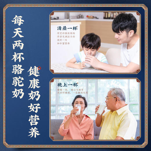 原始黄金骆驼奶粉新疆益生菌驼乳粉无蔗糖中老年儿童成人奶粉330g*4罐 TZ 商品图8