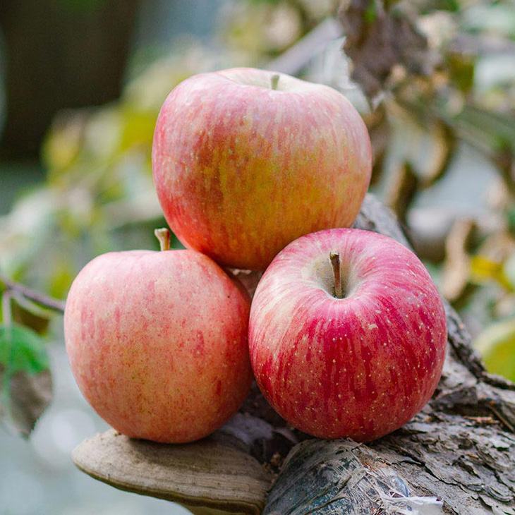 新疆阿克苏冰糖心苹果