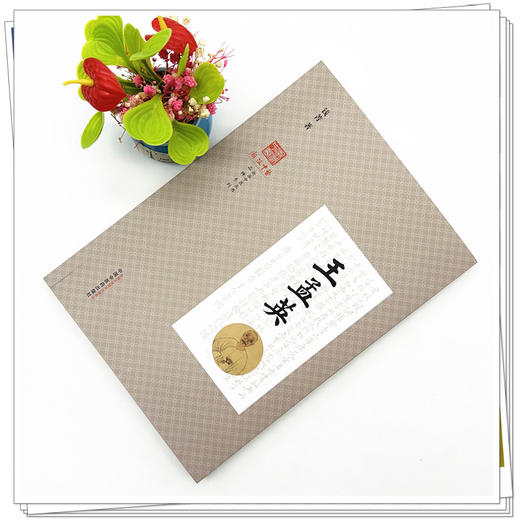 王孟英 钱菁 著 浙派中医丛书系列 中国中医药出版社 书籍 商品图1