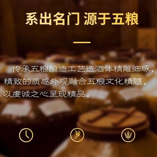 （万）52°五粮特曲珍品500ml/瓶 商品图3