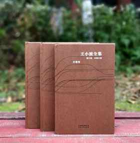 《王小波全集》精装， 3、4、5册，王小波著，云南人民出版社2006年版，定价86.4元，售价58元，非偏远地区包邮。品相95成。