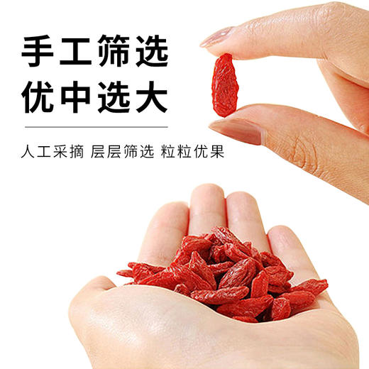 西御农特优级青海大颗粒有机枸杞子250克无硫无农残免洗泡水茶构杞 商品图3
