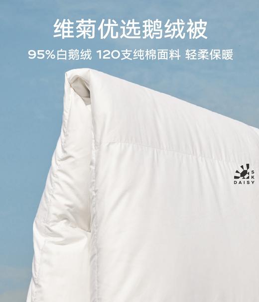 【第14团预订】会员臻享 I 高端冬季95白鹅绒被  定制款品质保障不退不换 商品图1
