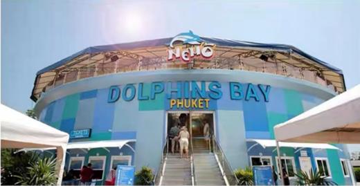 【尼莫海豚馆表演秀】泰国普吉岛 亲子游 亲子乐园 泰国旅游 商品图12