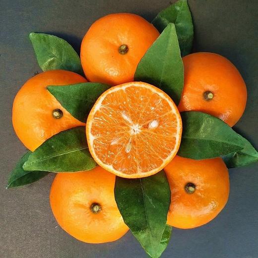 【新鲜采摘！广西武鸣沃柑】果肉饱满，清甜多汁，营养美味！水果当季皇帝柑沙糖蜜橘砂糖柑橘橘子桔子 商品图3