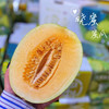 【正宗晓蜜】胜杰丝路晓蜜，哈密瓜，脆甜口感，瓜瓤黄色，甜度非常高，多汁又好吃！ 商品缩略图1
