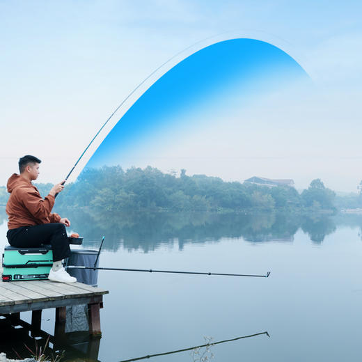 空钩悟道布衣正经综合竿全水域通用型台钓竿28调轻硬手杆线上专供 商品图2