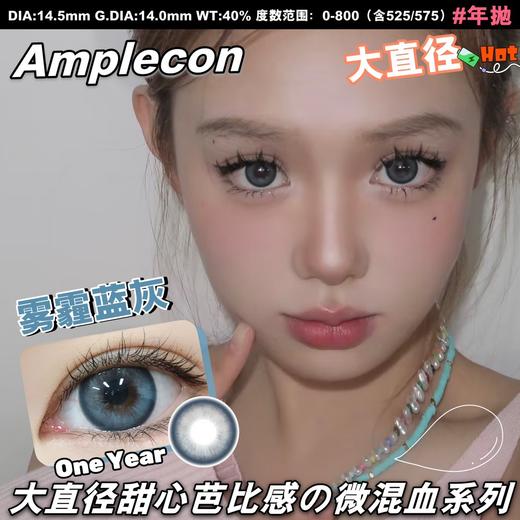 AMPLECON+雾霾蓝灰（年抛） 商品图0
