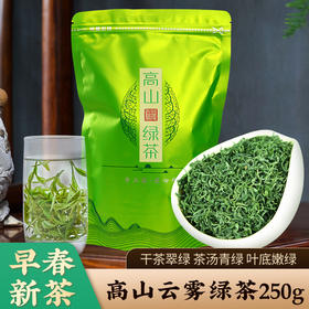 【限时秒杀】茶马世家高山绿茶2023新茶恩施含硒茶叶云雾雨前春茶250克