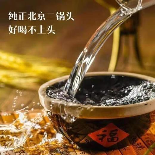（万）56°北京红星二锅头100ml（商超版）/瓶 商品图2
