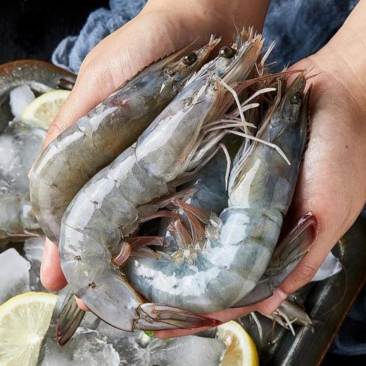 【鲜活大虾•青岛】#顺丰  冻干冰大虾 鲜活超大 青岛特大 净重3.3斤20/30大规格 商品图0