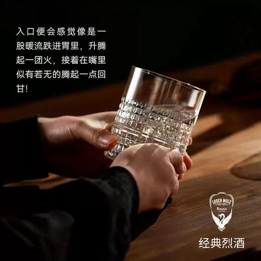 白俄罗斯进口拉达米尔牌黑天鹅风味伏特加700ml 商品图2