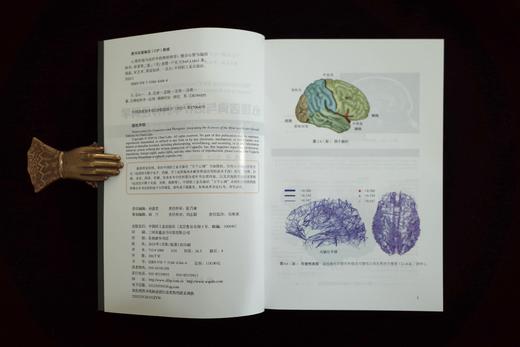 万千心理·心理咨询与治疗中的神经科学：整合心智与脑的科学（原著第二版） 商品图6