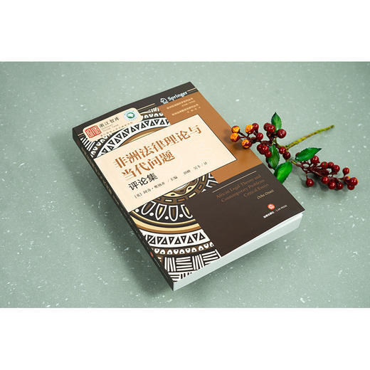 非洲法律理论与当代问题（评论集） （英）阿奇·奥纳齐主编 田峰 吴卡译 法律出版社 商品图1