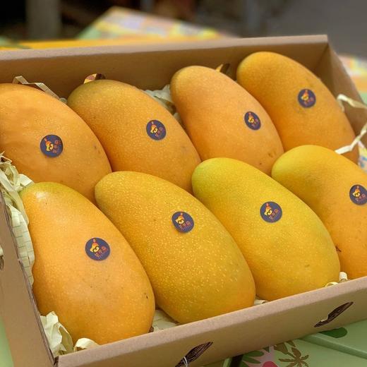 【海南金煌芒 】2025 当季现摘 皮薄肉厚 水嫩多汁 核薄纤维少 味道香甜！ 商品图6