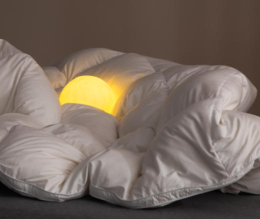 【鹅绒被 可定制】SCHIESSER舒雅生活至臻鹅绒被1200g充绒量轻盈且保暖性强，均采用优质的鹅绒绒朵，独特衔缝设计不成团，不跑绒，静音面料12040023020032（3） 商品图0