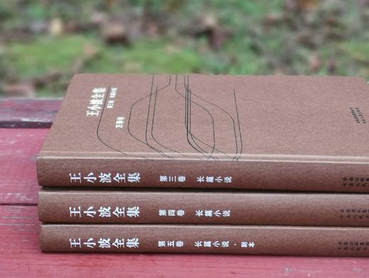 《王小波全集》精装， 3、4、5册，王小波著，云南人民出版社2006年版，定价86.4元，售价58元，非偏远地区包邮。品相95成。 商品图2