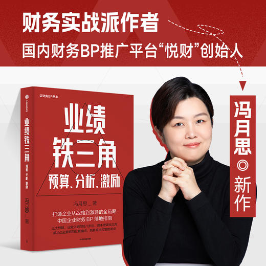 业绩铁三角 预算 分析 激励 冯月思著  张新民 钱自严 李祖滨 郑毓煌 李利威等推荐 打通企业从战略到激励的全链路 商品图3