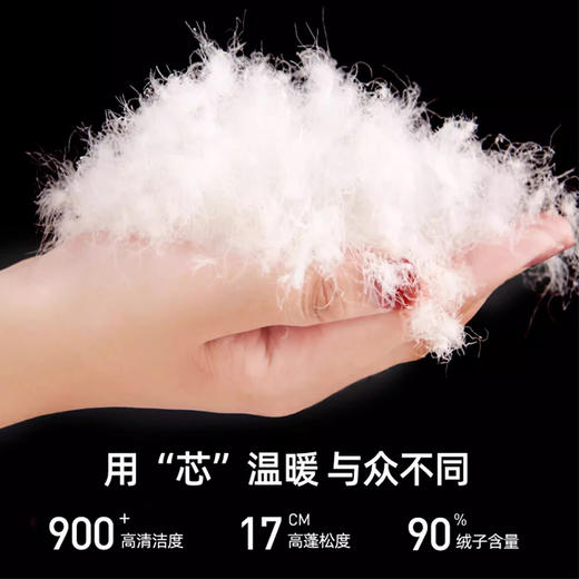 【悦小棉】 超暖鹅绒裤 2388+情侣潮搭羽绒裤 3226 商品图3