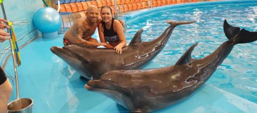 【尼莫海豚馆表演秀】泰国普吉岛 亲子游 亲子乐园 泰国旅游 商品图5