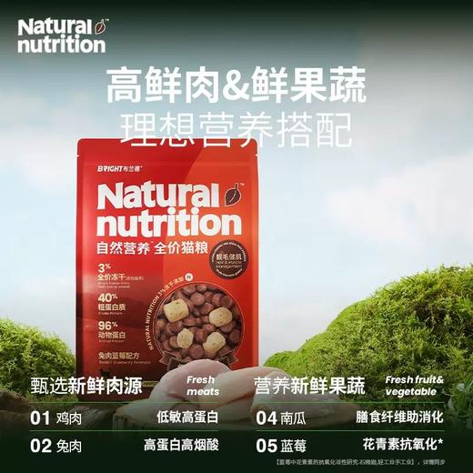 布兰德自然营养全价猫粮通用全阶段 商品图3