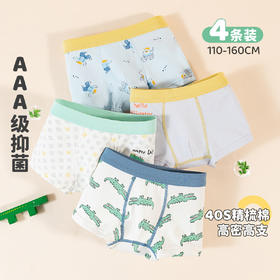 男童平角内裤ZB5CP008
