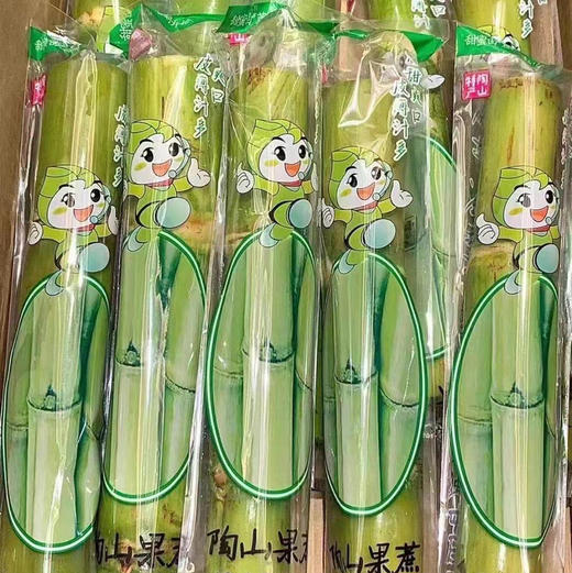 来自果蔗之乡——正宗陶山甘蔗，可以手撕的甘蔗，汁多清甜、节长、渣松而软，咔嚓咔嚓轻松啃，牙口不好朋友的福音，净化肺部的蕞佳食品之一，除了富含糖分和水分外，还含有大量对人体新陈代谢有益的维生素！约4斤 商品图3