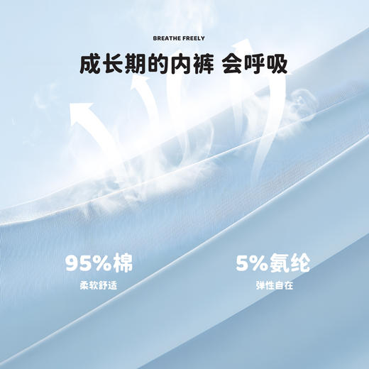 男童平角内裤ZB5CP008
 商品图5