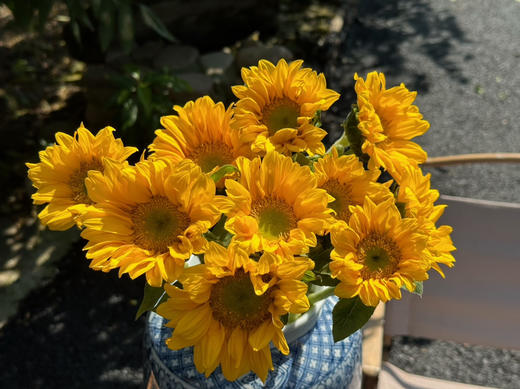 【绿心小花向日葵】3支/份 商品图1