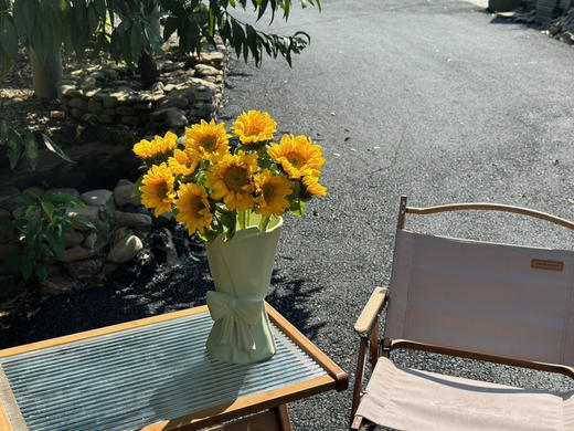 【绿心小花向日葵】3支/份 商品图13