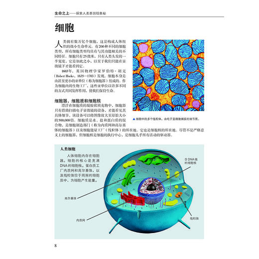 生命之上——探索人类基因组奥秘 商品图4