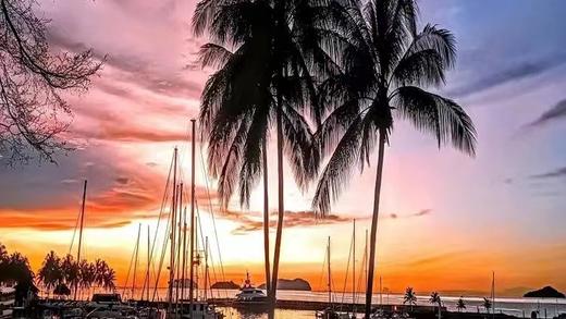 【仙本那红树林半日游】长鼻猴萤火虫蓝眼泪|下午茶中西式茶点|自助海鲜晚餐|酒店接送 商品图4