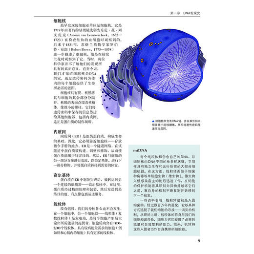 生命之上——探索人类基因组奥秘 商品图5