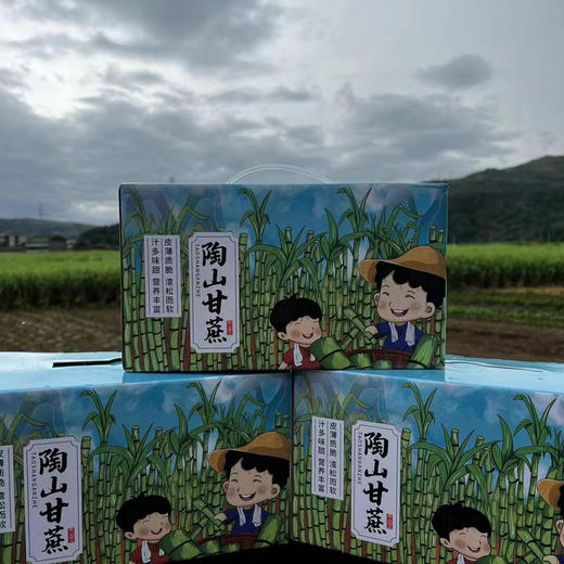 来自果蔗之乡——正宗陶山甘蔗，可以手撕的甘蔗，汁多清甜、节长、渣松而软，咔嚓咔嚓轻松啃，牙口不好朋友的福音，净化肺部的蕞佳食品之一，除了富含糖分和水分外，还含有大量对人体新陈代谢有益的维生素！约4斤 商品图4